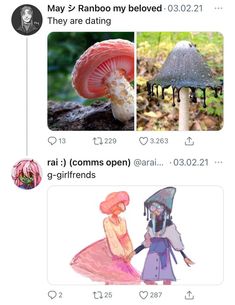 two pictures with different types of mushrooms on them