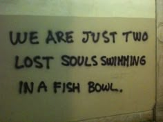 graffiti written on the wall saying we are just two lost souls swimming in a fish bowl