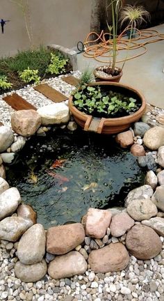 a fish pond surrounded by rocks and plants