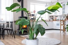 a living room filled with furniture and a fire place in the middle of it's center