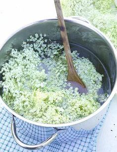 a pot filled with green stuff on top of a blue and white checkered cloth