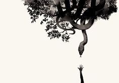 a person reaching up into the air to reach a tree with their hands in it