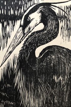 a black and white drawing of a bird with long beaks, standing in water