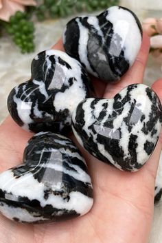 Super cute black and white Zebra Jasper heart crystals from Mexico. These puffy hearts are the perfect size to use as a pocket or worry stone and you can easily keep with you on the move if you need some crystal action. They are all very unique in their markings, but have a similar overall appearance. Rare Crystals, Unique Crystals, Black Jasper, Pink Zebra Jasper Crystal Meaning, Zebra Jasper Meaning, Dalmation Jasper, Zebra Jasper