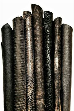 several different types of snake skin are lined up in a row on a white background