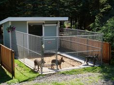 two dogs are in their kennel at the dog park, and one is looking for food