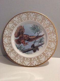 THIS PLATE LOOKS TO BE IN VERY GOOD CONDITION. NO CHIPS,SCRATCHES, OR CRACKS TO PLATE OR GOLD TRIM. Owl Plate, Eastern Screech Owl, Screech Owl, Plate Collection, Antique Shops, Gold Trim, Chips, Trim, Gold