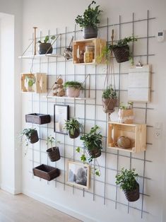 there are many plants on the wall in this room, and it is nice to see