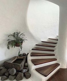 there is a potted plant next to some rocks on the ground and a set of stairs