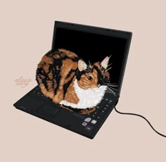 an image of a cat sitting on top of a laptop computer that is turned on