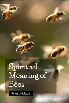 Explore the profound spiritual meaning of bees, symbols of community, productivity, and life's sweetness. Delve into mystical symbolism and connect with nature's wisdom through the enigmatic presence of bees. Their intricate behaviors and societal structures offer insights into cooperation, hard work, and the beauty of harmonious living. Discover the spiritual significance of bees and how they can inspire your journey towards personal growth and collective harmony. Spiritual Meaning of Bees | Mystical Insights | Nature's Wisdom, Harmony, Growth. Meaning Of Bees, Spiritual Meaning Of Bees, Bee Symbolism, Divine Meaning, Bee Conservation