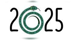 the number twenty five with a snake in it's center and 2013 written below