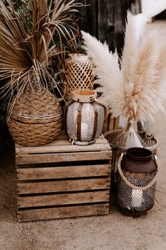 some vases and other items are sitting on wooden crates with plants in the background