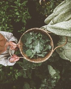 a woman holding a basket full of green plants