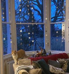 two cats sitting on the back of a couch in front of a window with stars