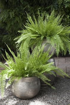 two metal planters sitting next to each other