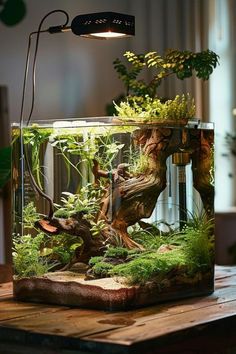 an aquarium with plants in it on top of a wooden table next to a lamp