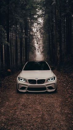 a white car parked in the middle of a forest