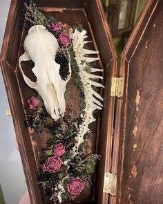 an animal skull in a wooden box with flowers