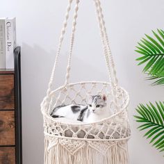 a cat is laying in a macrame hanging basket