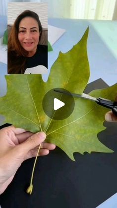 a woman cutting up a leaf with scissors on top of a table next to other photos