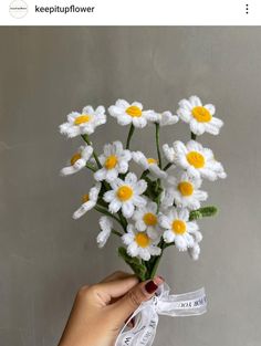 a hand holding a bouquet of white and yellow daisies with a ribbon tied around it