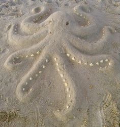 an octopus is made out of sand on the beach