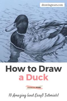 a drawing of a duck with the title how to draw a duck