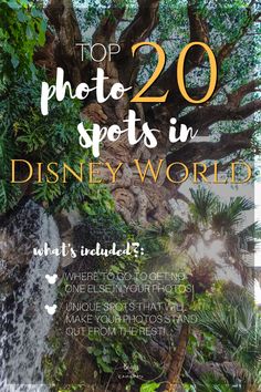 the top 20 photo spots in disney world