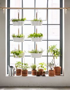 a window sill filled with potted plants in front of a wall mounted planter