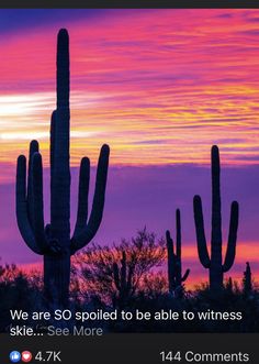 the sun is setting behind a large cactus and some trees in the foreground with pink clouds