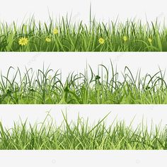 grass and flowers are shown in four different angles