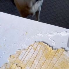 a dog standing next to a cutting board with dough on it's side and a knife in the middle