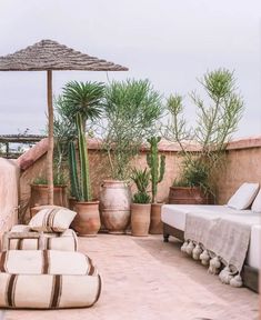 an outdoor patio area with couches and potted plants on the roof top terrace