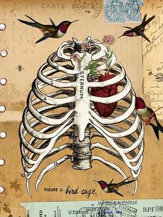 a drawing of a rib cage with birds flying around it and flowers growing out of the ribs