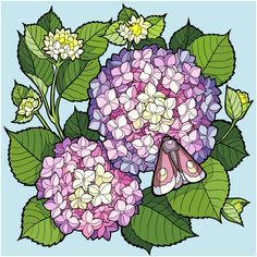 a butterfly sitting on top of a bunch of purple and white flowers with green leaves