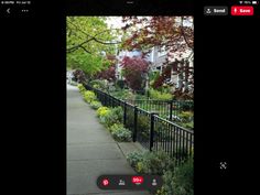 an image of a street with trees and flowers on it, taken from the camera