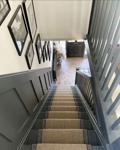 a dog is sitting on the stairs in front of some framed pictures and photos above them