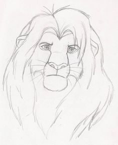 a pencil drawing of a lion's face