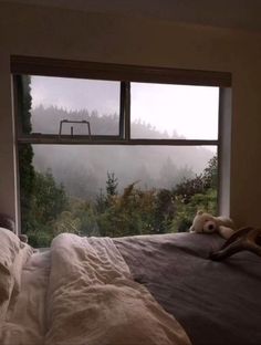 there is a teddy bear sitting on the edge of a bed in front of a window