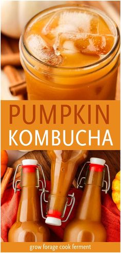 Discover this easy pumpkin homemade kombucha recipe that blends fermented kombucha with pumpkin puree, maple syrup, and cinnamon for a delicious fall drink. Perfect for probiotic lovers looking to add seasonal flavors to their brew! Find more kombucha benefits, fermented beverages, fall drinks, and Fermented Drinks Recipes at growforagecookferment.com. Pear Kombucha, Blueberry Kombucha, Kombucha Flavors Recipes, Fermented Beverages, Kombucha Recipes, Diy Kombucha, Kombucha Benefits, Kombucha Flavors, Winter Squash Recipes