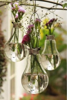 three light bulbs filled with flowers hanging from a branch