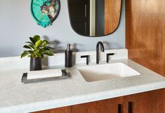 a bathroom sink sitting under a mirror next to a plant