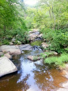 a stream running through a forest filled with lots of rocks and greenery on both sides