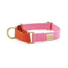 an orange and pink dog collar with gold hardware on the front, featuring a name tag