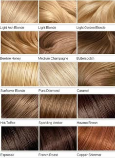 Blonde Color Chart, Blonde Hair Color Chart, Brunette Ombre, Honey Hair Color, Dyed Blonde Hair, Hair Color Chart, Brunette Balayage, Super Hair, Blonde Hair Shades