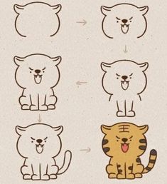 four different types of cats with faces drawn on them