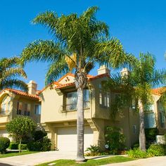 a palm tree is in front of a two story house with red tile roofing