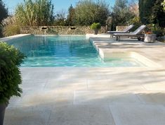 an empty swimming pool surrounded by greenery