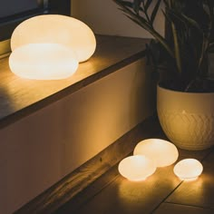 three lit candles sitting next to a potted plant